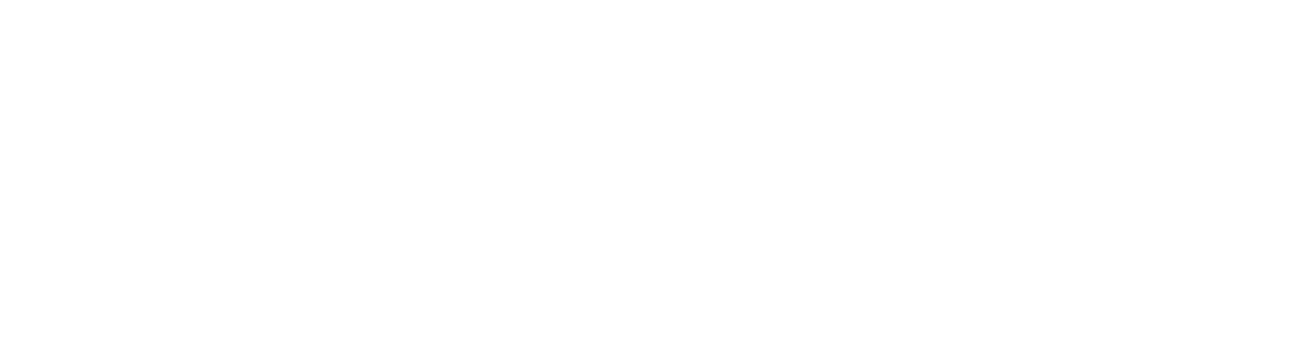 DOSI File Logo